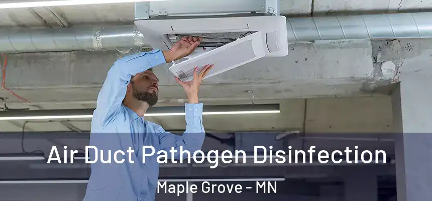  Air Duct Pathogen Disinfection Maple Grove - MN