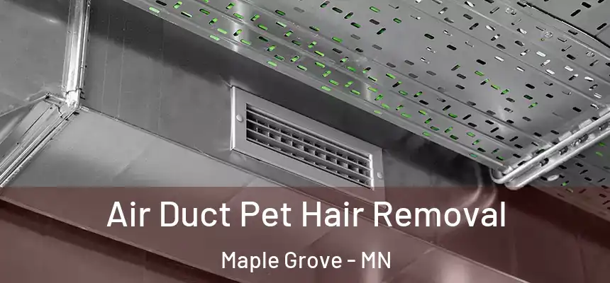 Air Duct Pet Hair Removal Maple Grove - MN