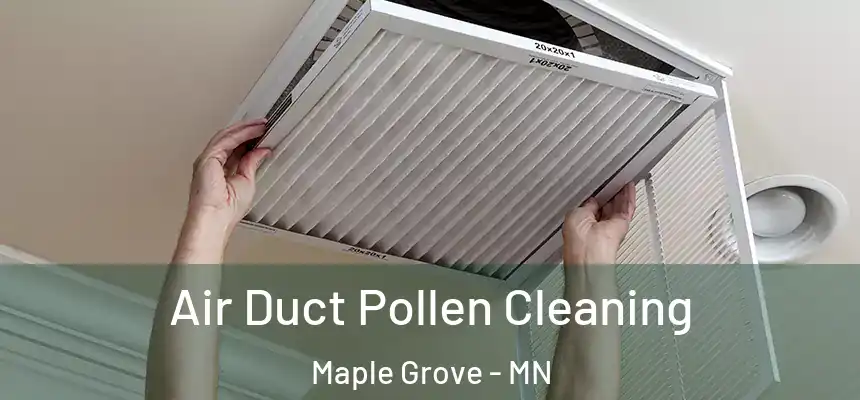 Air Duct Pollen Cleaning Maple Grove - MN