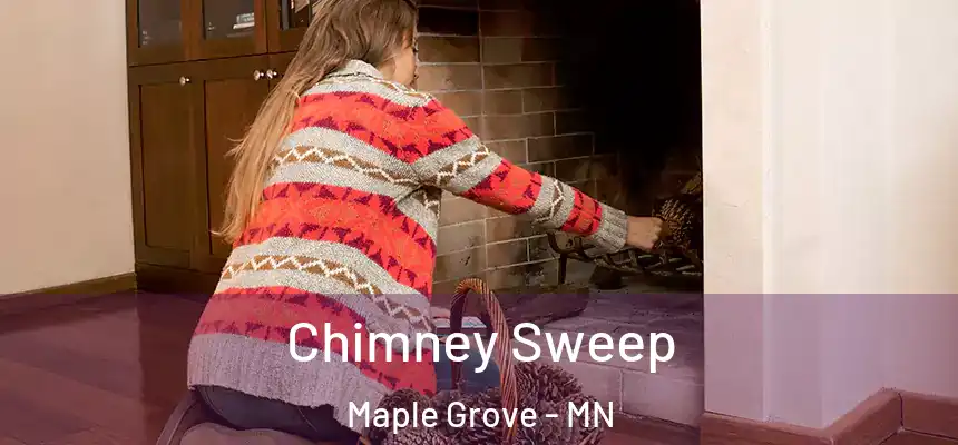 Chimney Sweep Maple Grove - MN