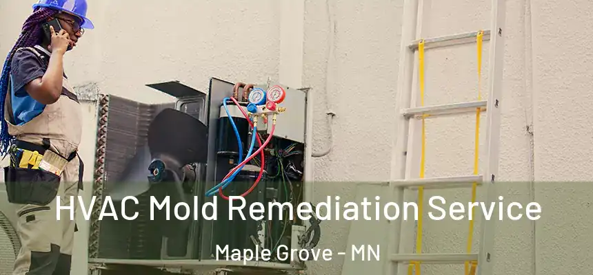  HVAC Mold Remediation Service Maple Grove - MN