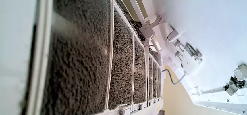 Preventive Air Duct Bacteria Removal in Maple Grove