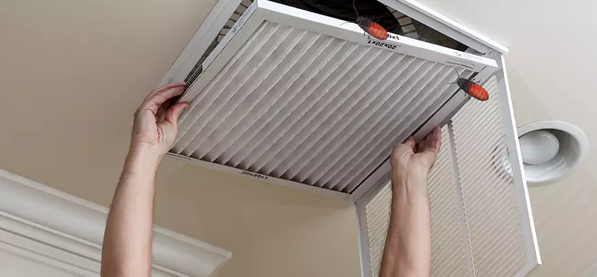 Preventive Cockroach-Proofing for Ducts in Maple Grove