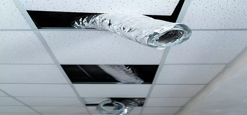 Our Air Duct Pet Hair Removal Services in Maple Grove, MN