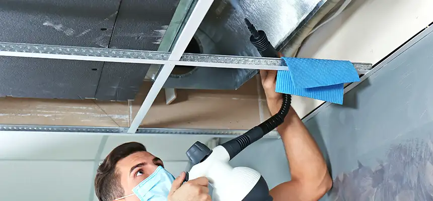 Our Air Duct Rodent Removal Services in Maple Grove, MN