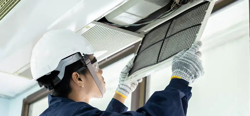 Our Lint Trap Cleaning Service Services in Maple Grove, MN