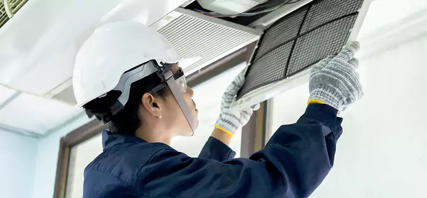 Our Mold & Mildew Removal from Air Ducts Services in Maple Grove, MN