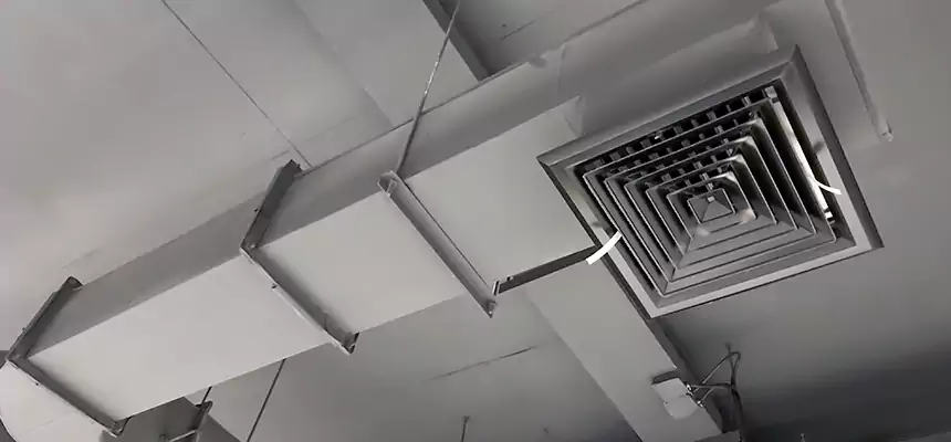 Our Pest Removal From Ducts Services in Maple Grove, MN