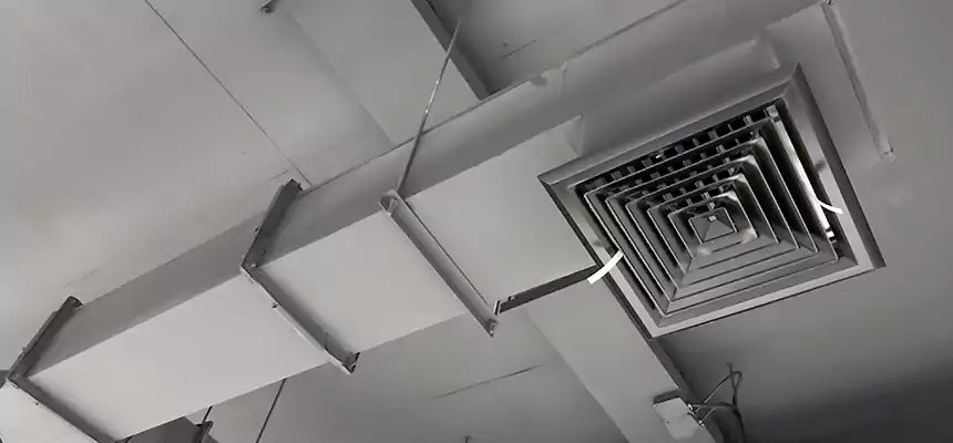 Our Rodent Droppings In Vents Services in Maple Grove, MN