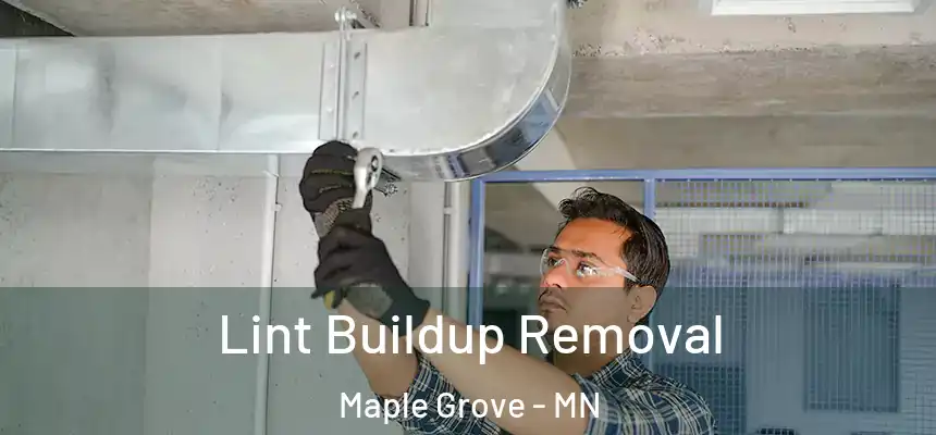 Lint Buildup Removal Maple Grove - MN