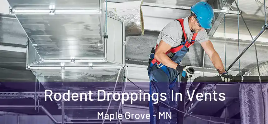  Rodent Droppings In Vents Maple Grove - MN