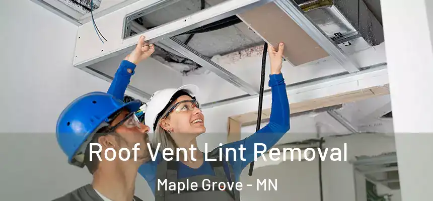  Roof Vent Lint Removal Maple Grove - MN