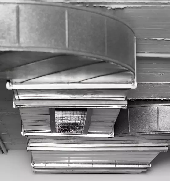 Professional Air Duct Pest Removal in Maple Grove, MN