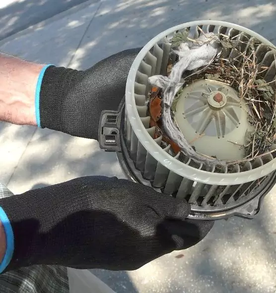 About Air Duct Rat Removal in Maple Grove, MN