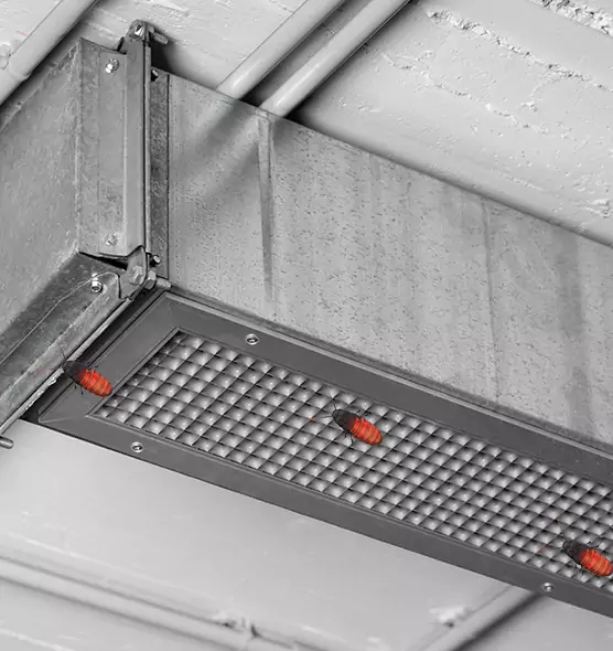 Affordable Insect Removal from Air Ducts in Maple Grove, MN