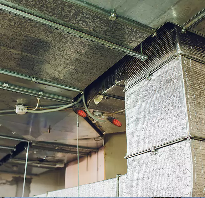 Why Homeowners & Businesses Trust Us in Maple Grove, MN?