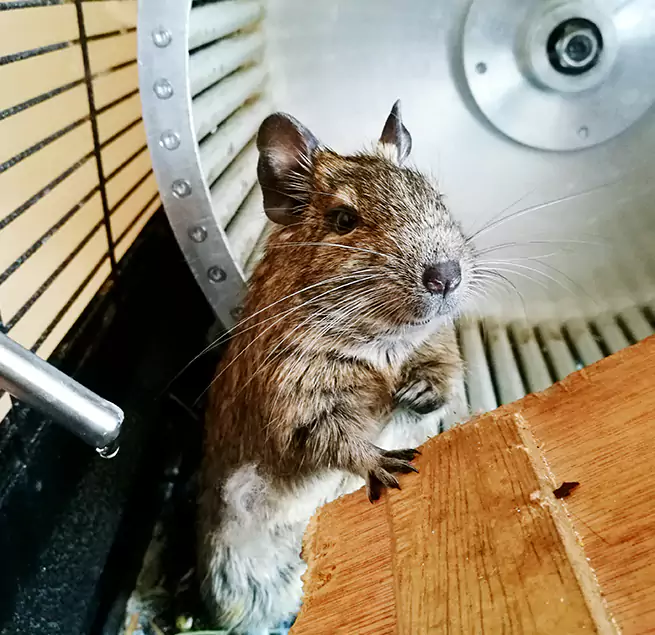 Why Homeowners & Businesses Trust Us Maple Grove, MN?