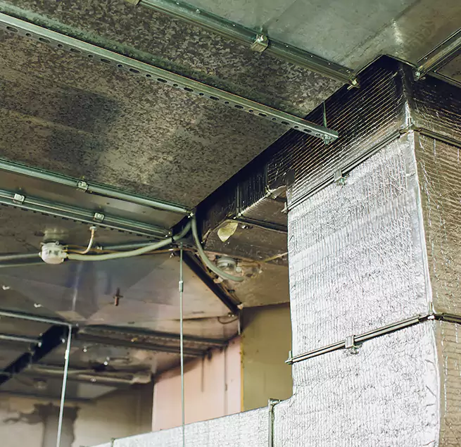 Why Homeowners & Businesses Trust Us in Maple Grove, MN?