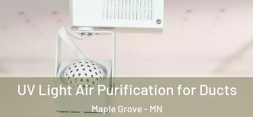  UV Light Air Purification for Ducts Maple Grove - MN